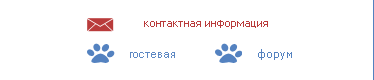 связь